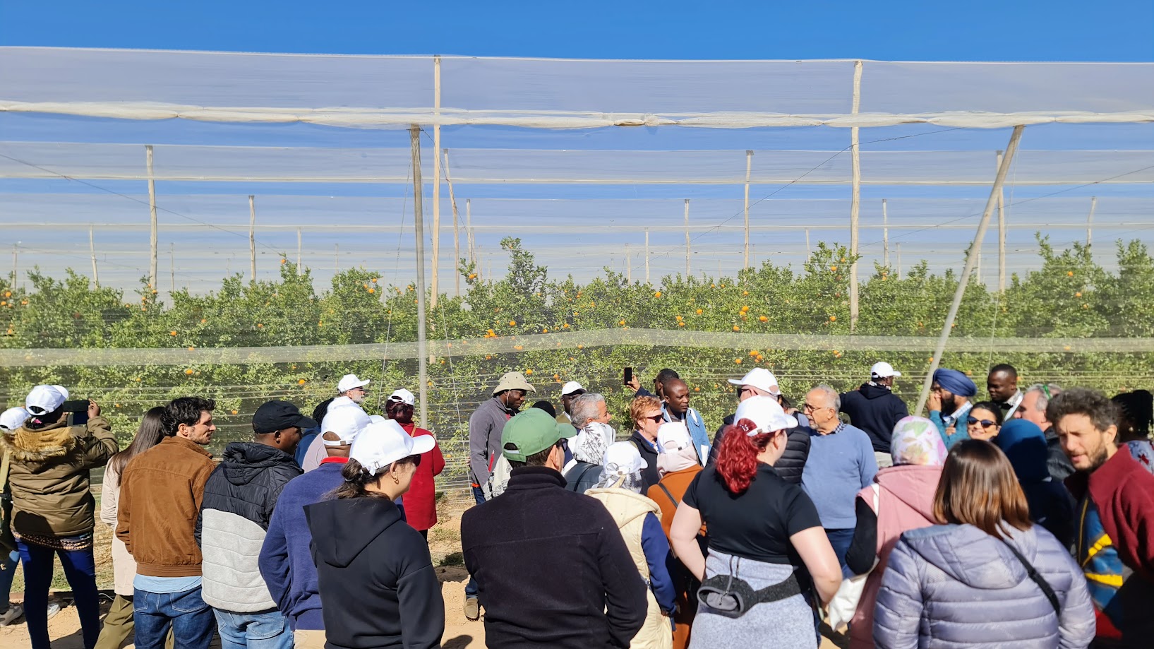 AAHC-visitas.citricos3|Duroc|Duroc-3|AAHC-visitas-citricos|AAHC-Judías-Nature growers|AAHC-melón charentais|AAHA-agroatlas-nature growers|AAHC-nature growers|AAHC-Nature-Growers-Agroatlas|AAHC-Nature-Growers-Agroatlas - copia|AAHC-melón charentais|AAHC-ju